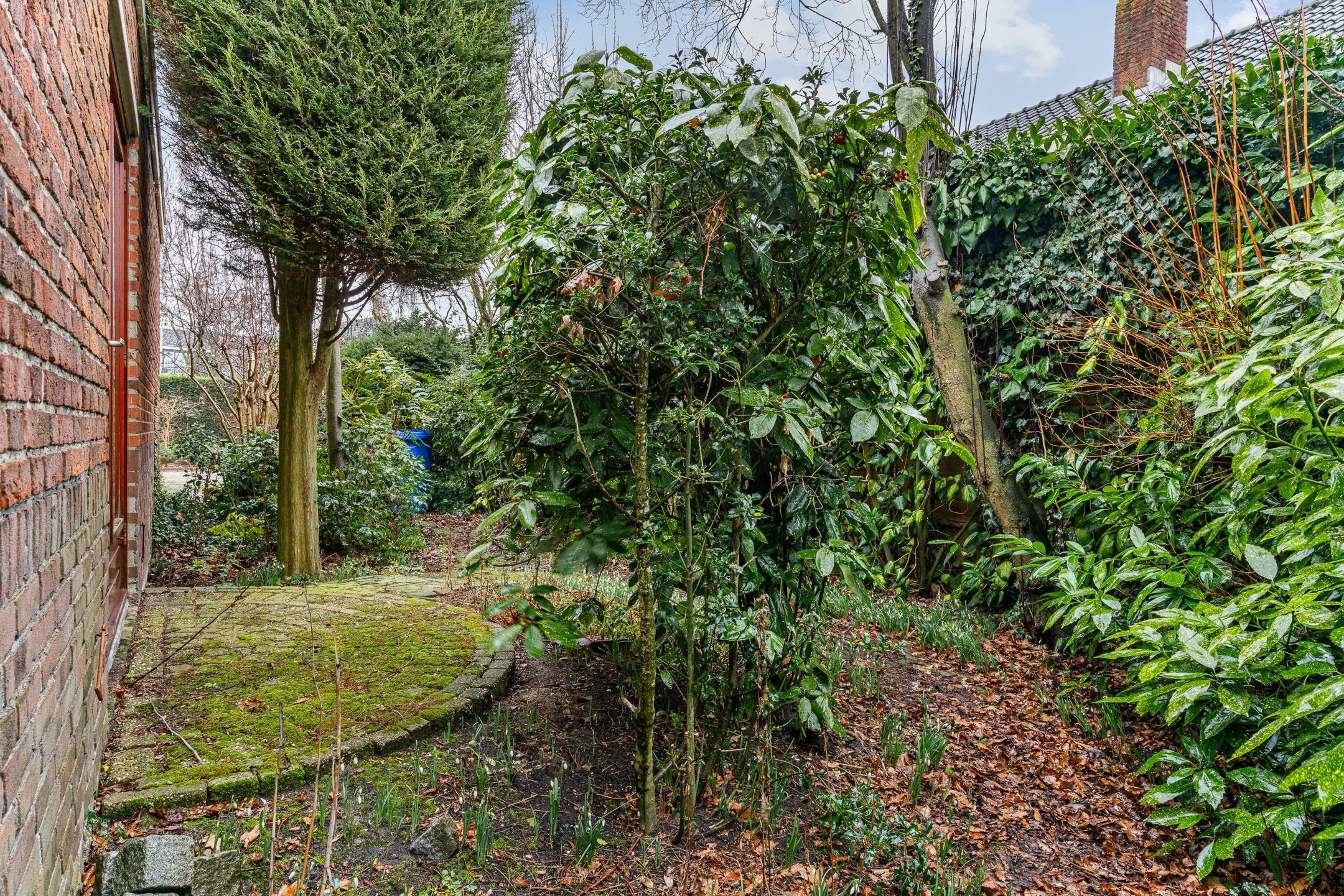 Foto 39 van Graaf Dirk II laan 14