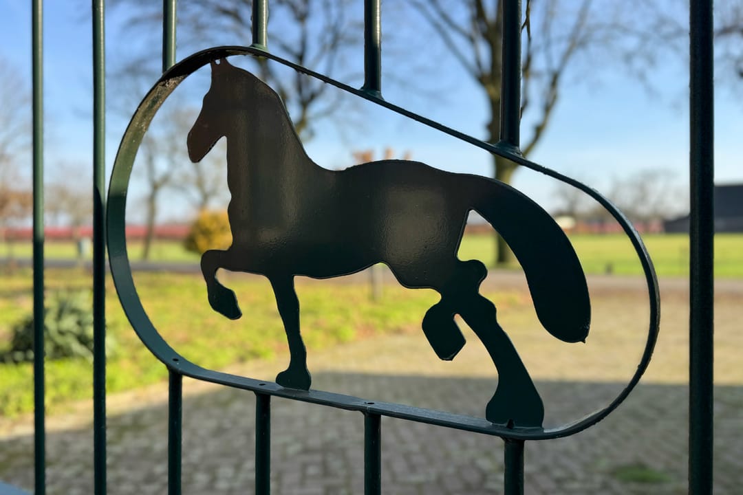 Photo 26 of Heideweg 6-A