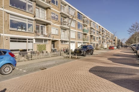 Frans Halsplantsoen thumbnail