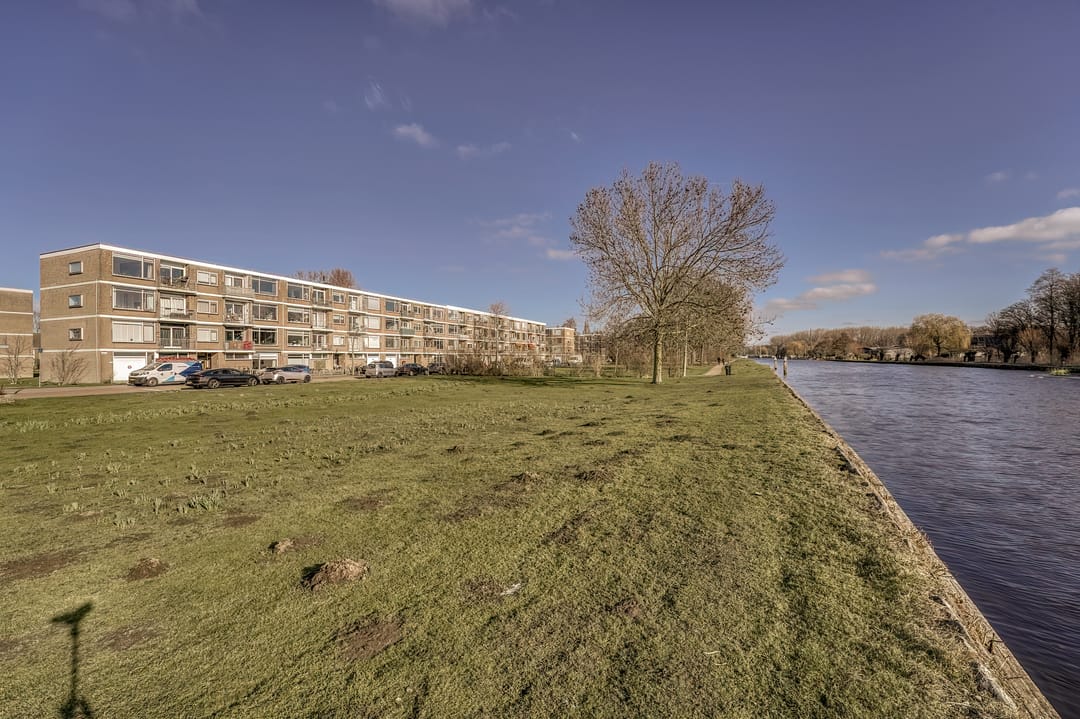 Foto 7 van Frans Halsplantsoen 103