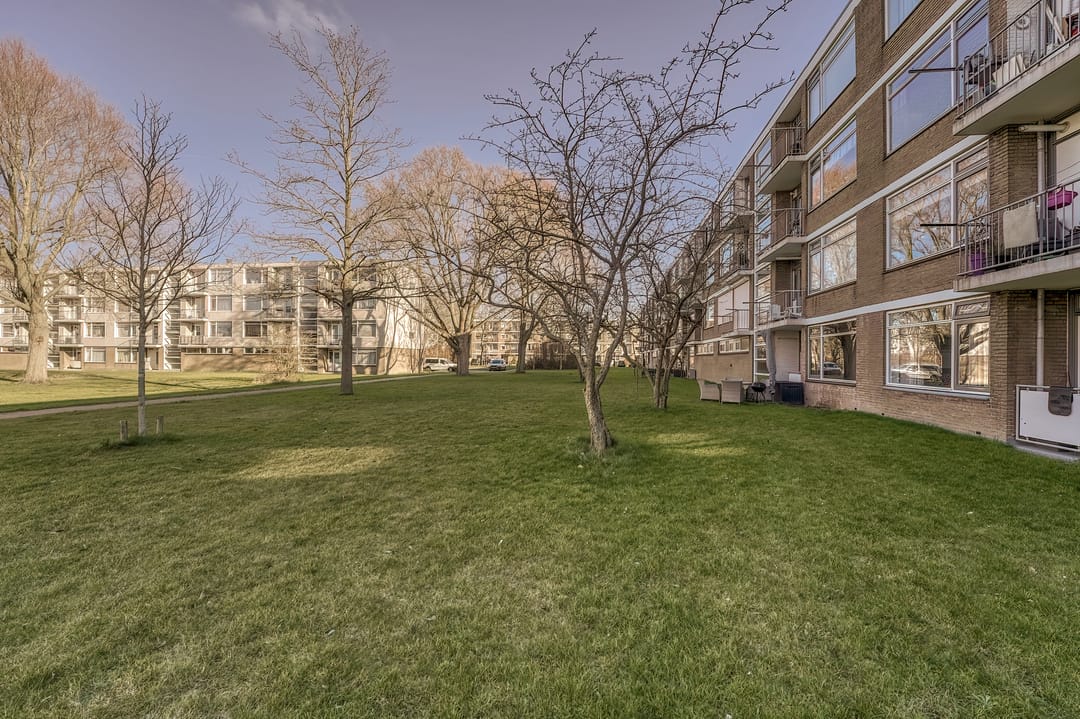 Foto 8 van Frans Halsplantsoen 103