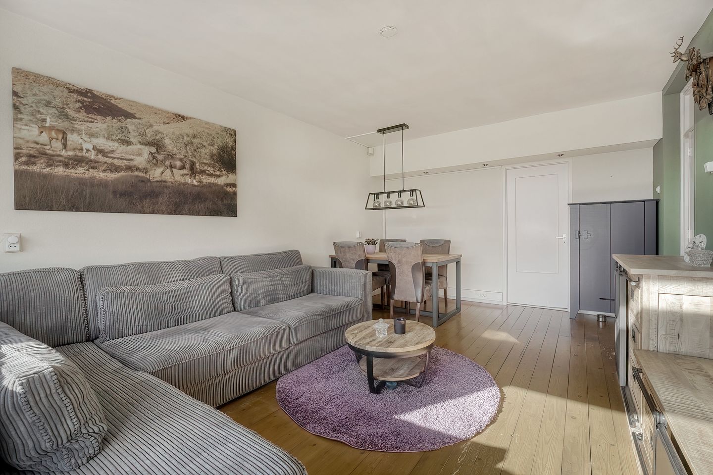 Foto 19 van Frans Halsplantsoen 103