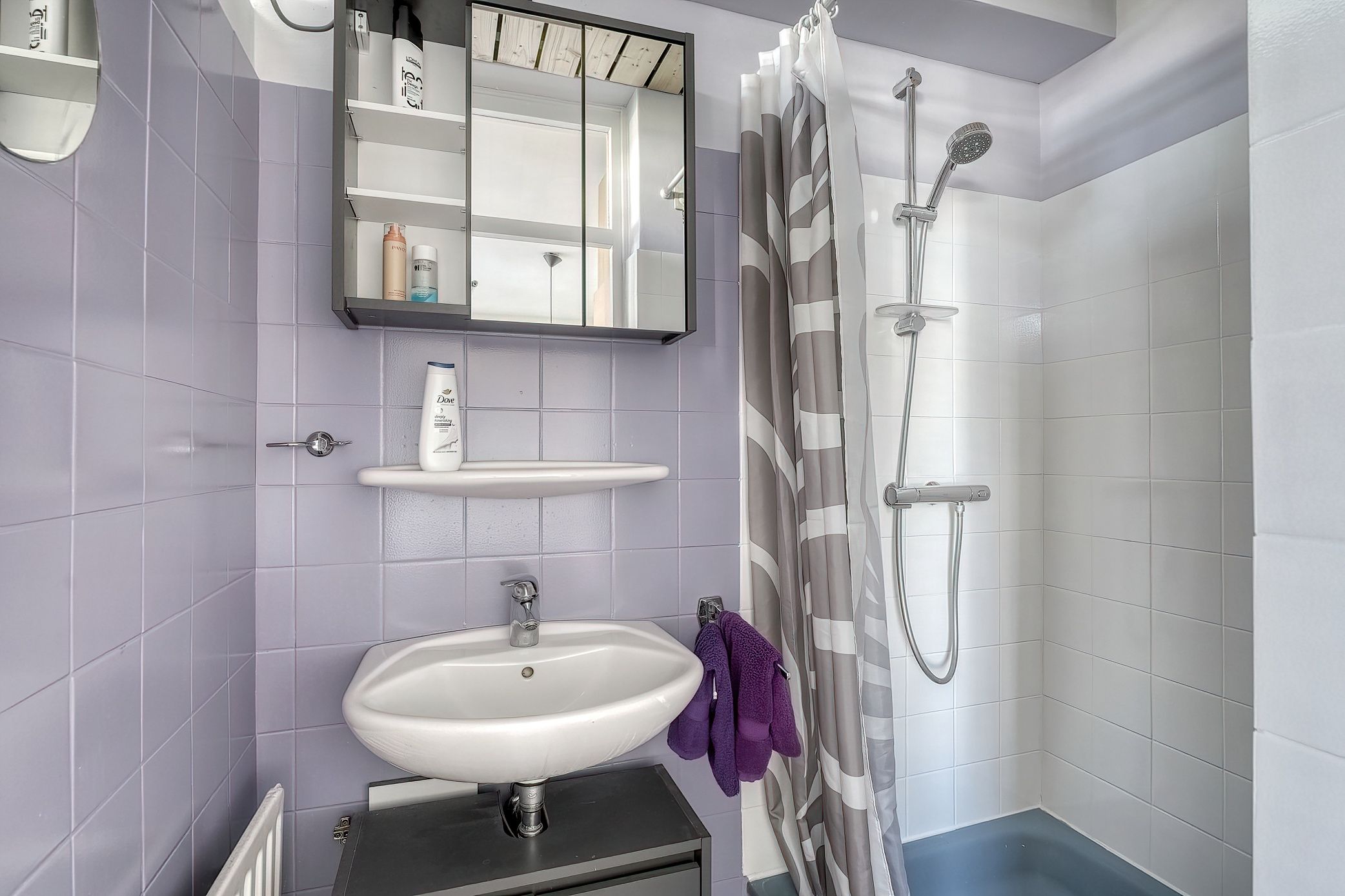 Foto 27 van Frans Halsplantsoen 103