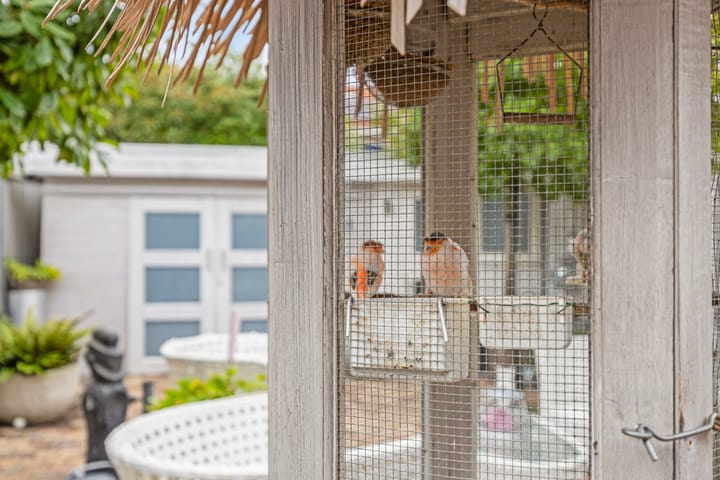 Foto 21 van Groene Weide 56