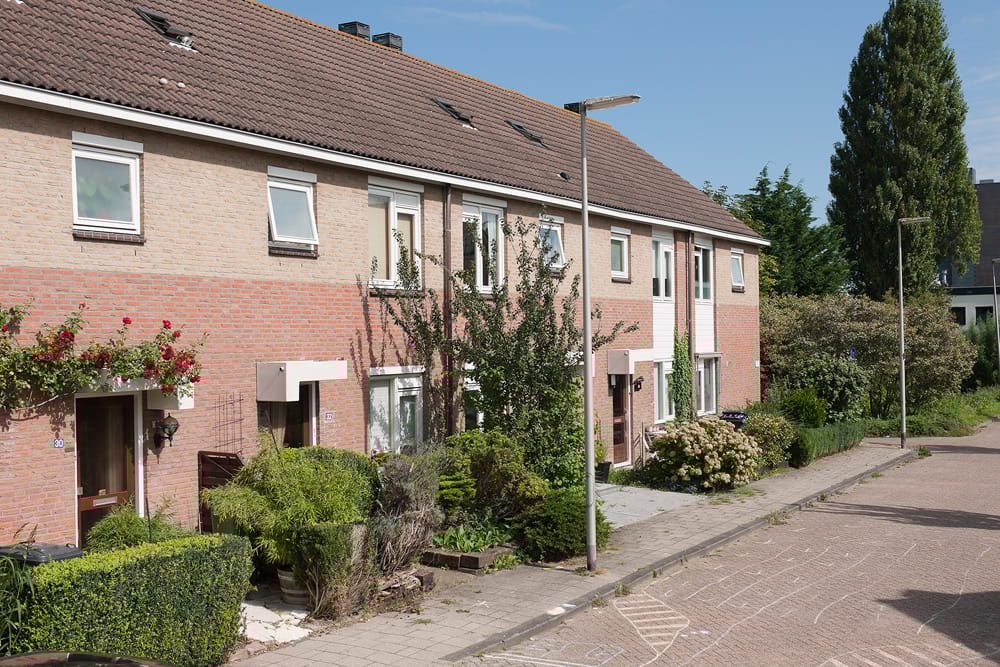 Photo 2 of Ivoorwit 9