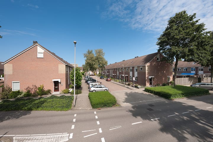 Foto 4 van Ivoorwit 9