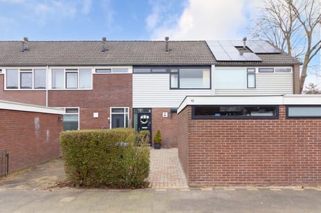 undefined main image