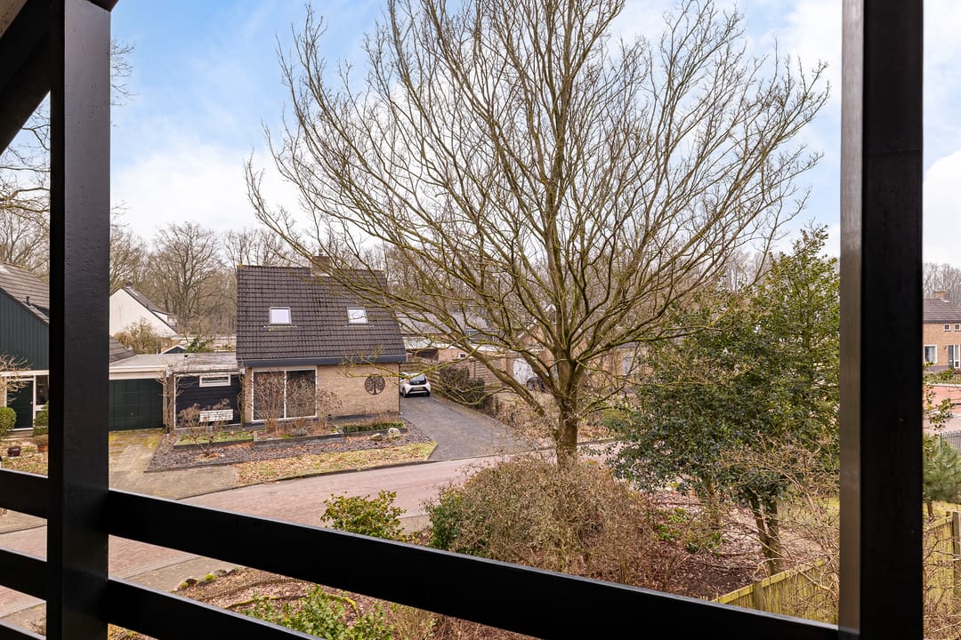 Photo 26 of Burmanialân 1