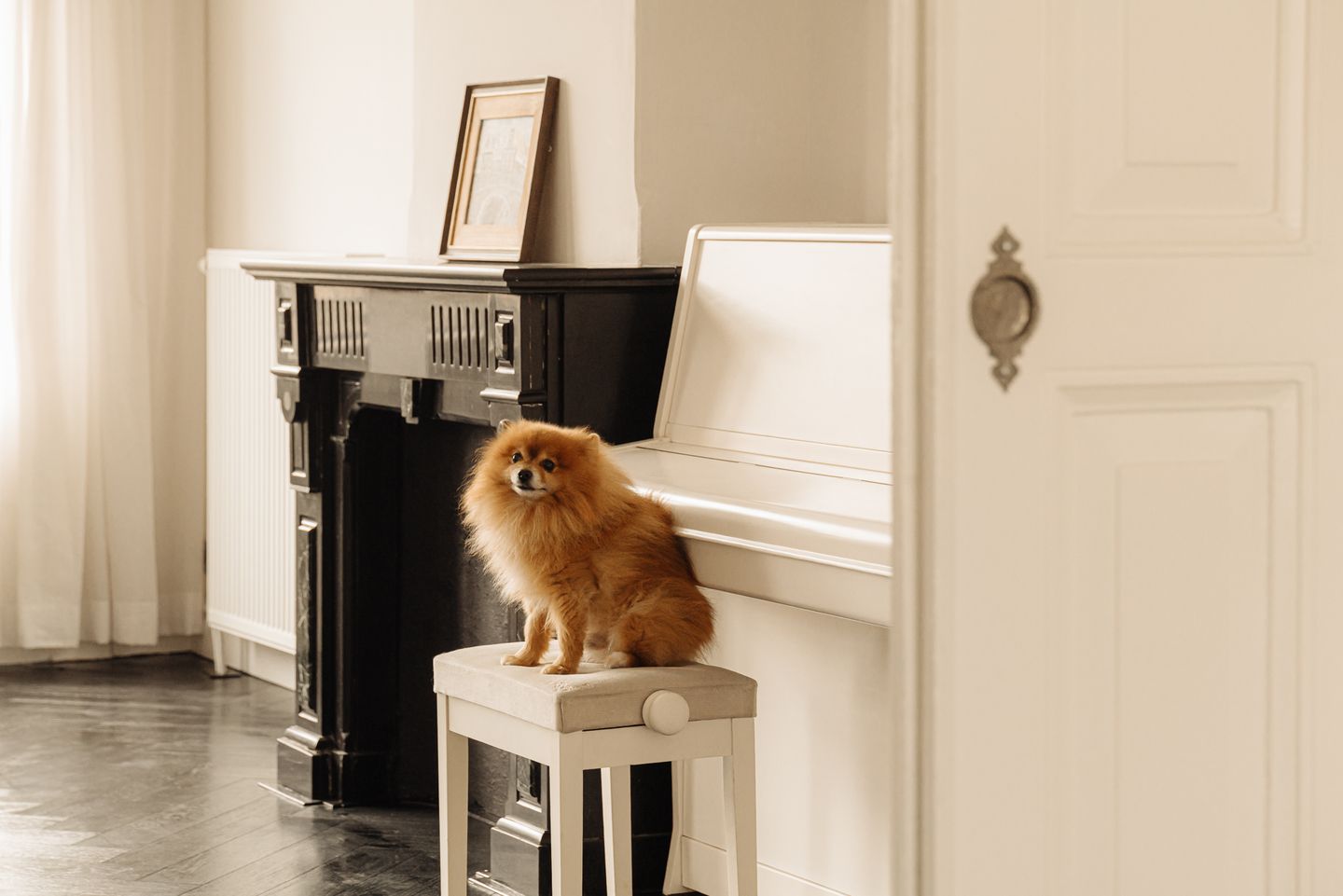 Foto 19 van Van Baerlestraat 59-2