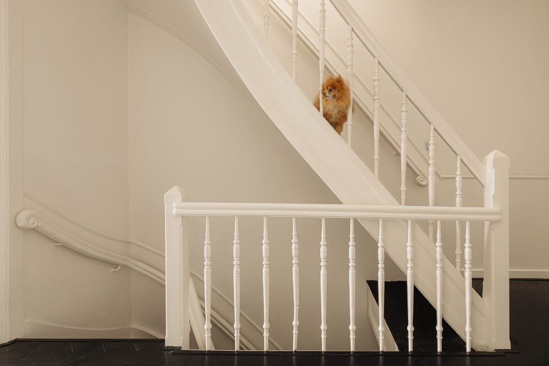 Foto 23 van Van Baerlestraat 59-2