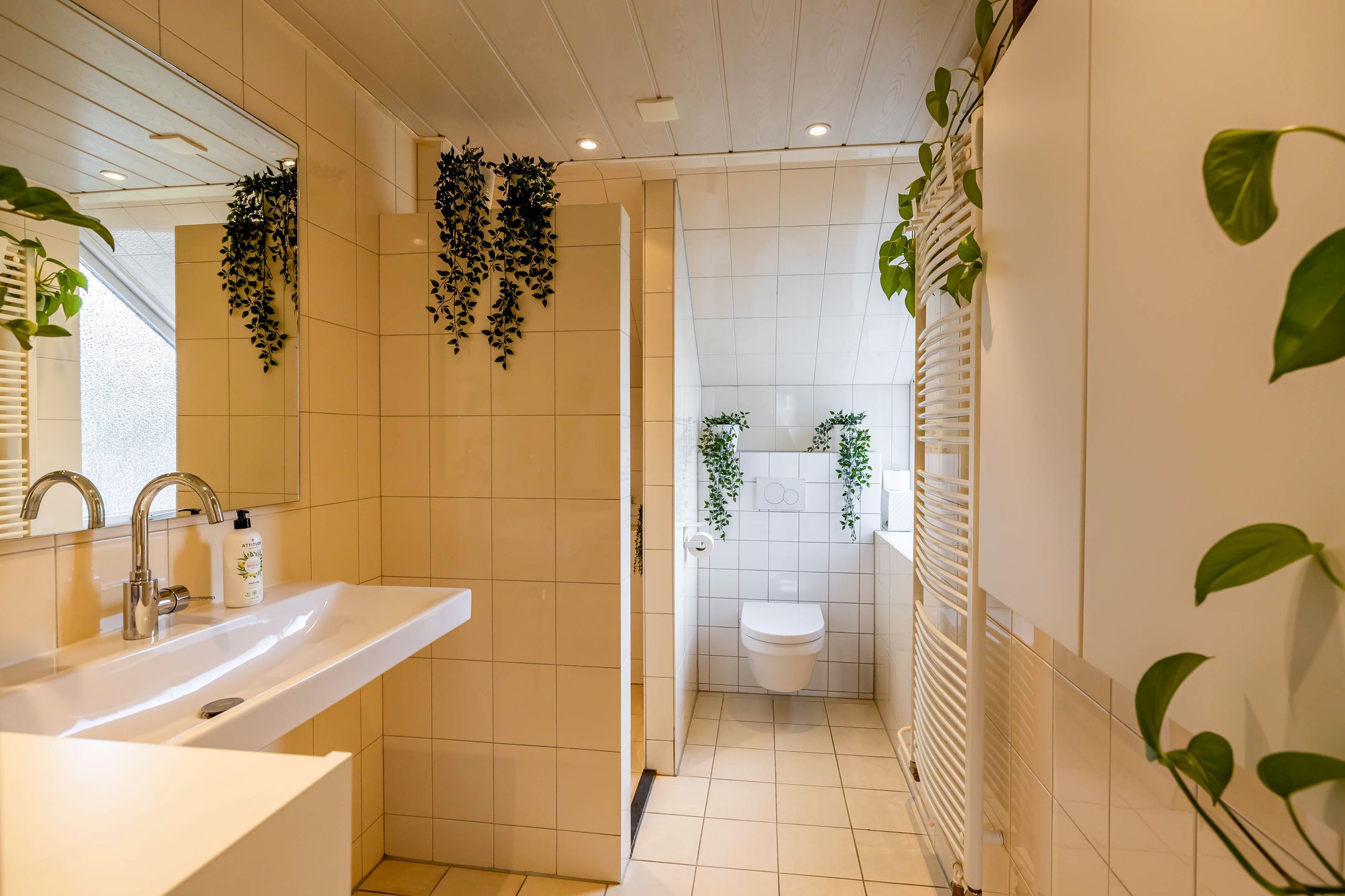 Foto 24 van Gangboord 58