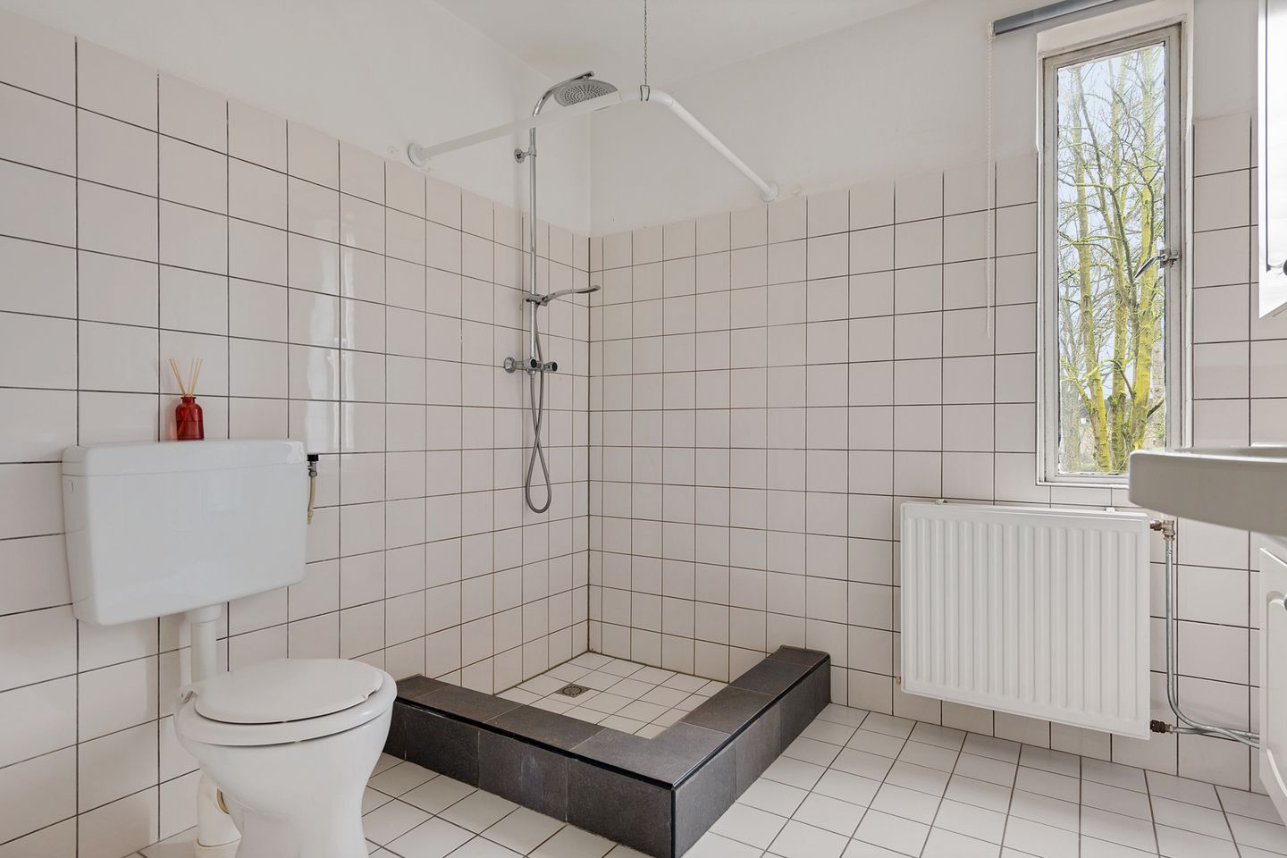 Foto 19 van Pijlstaartpad 31