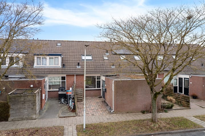 Lisdodde 5 main image