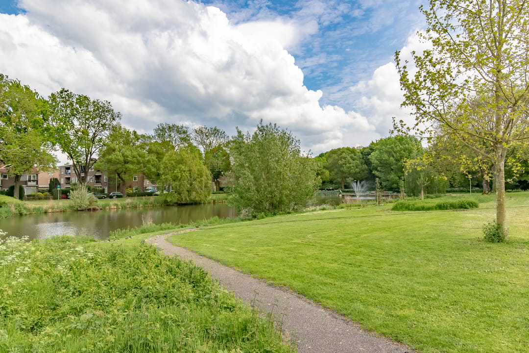 Foto 26 van Ridderplantsoen 21