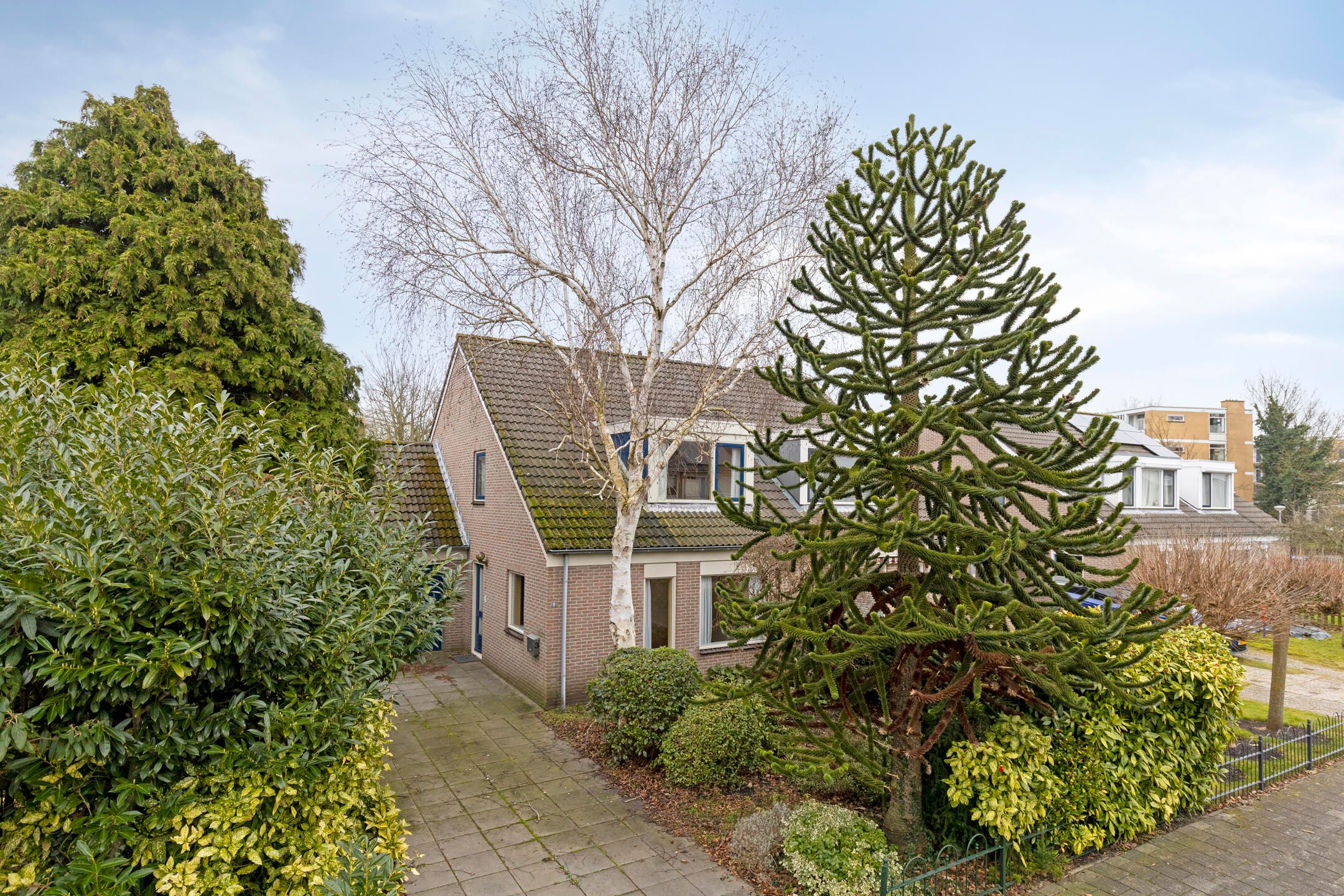 Frans Mentonstraat 3 