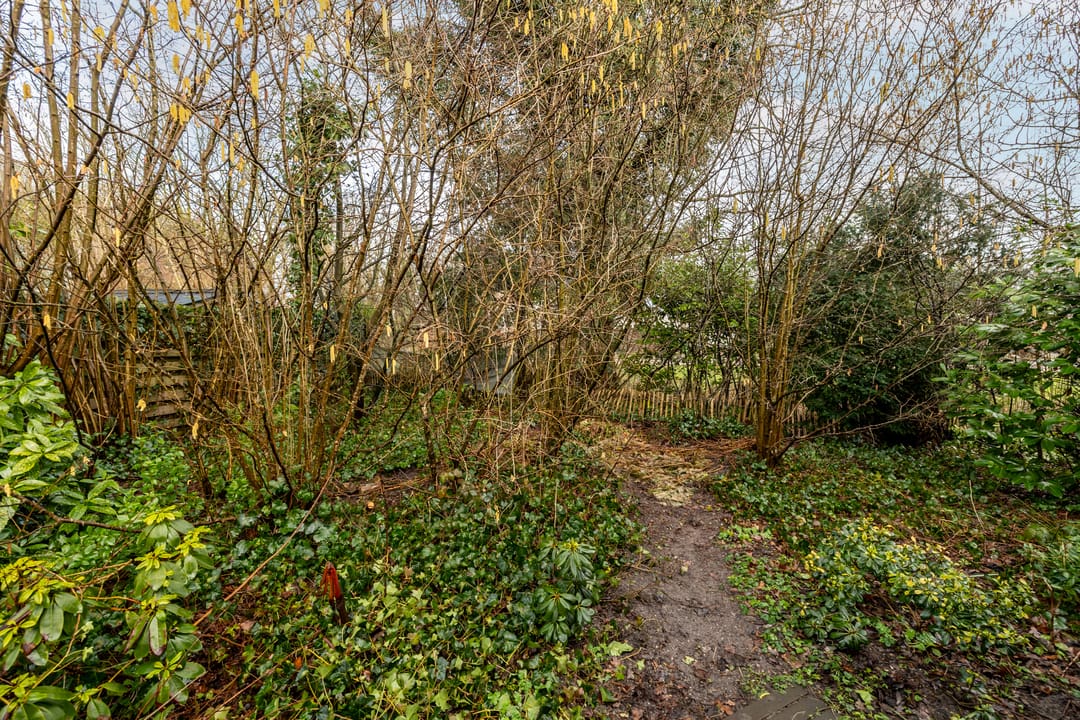 Foto 37 van Beekdal 7