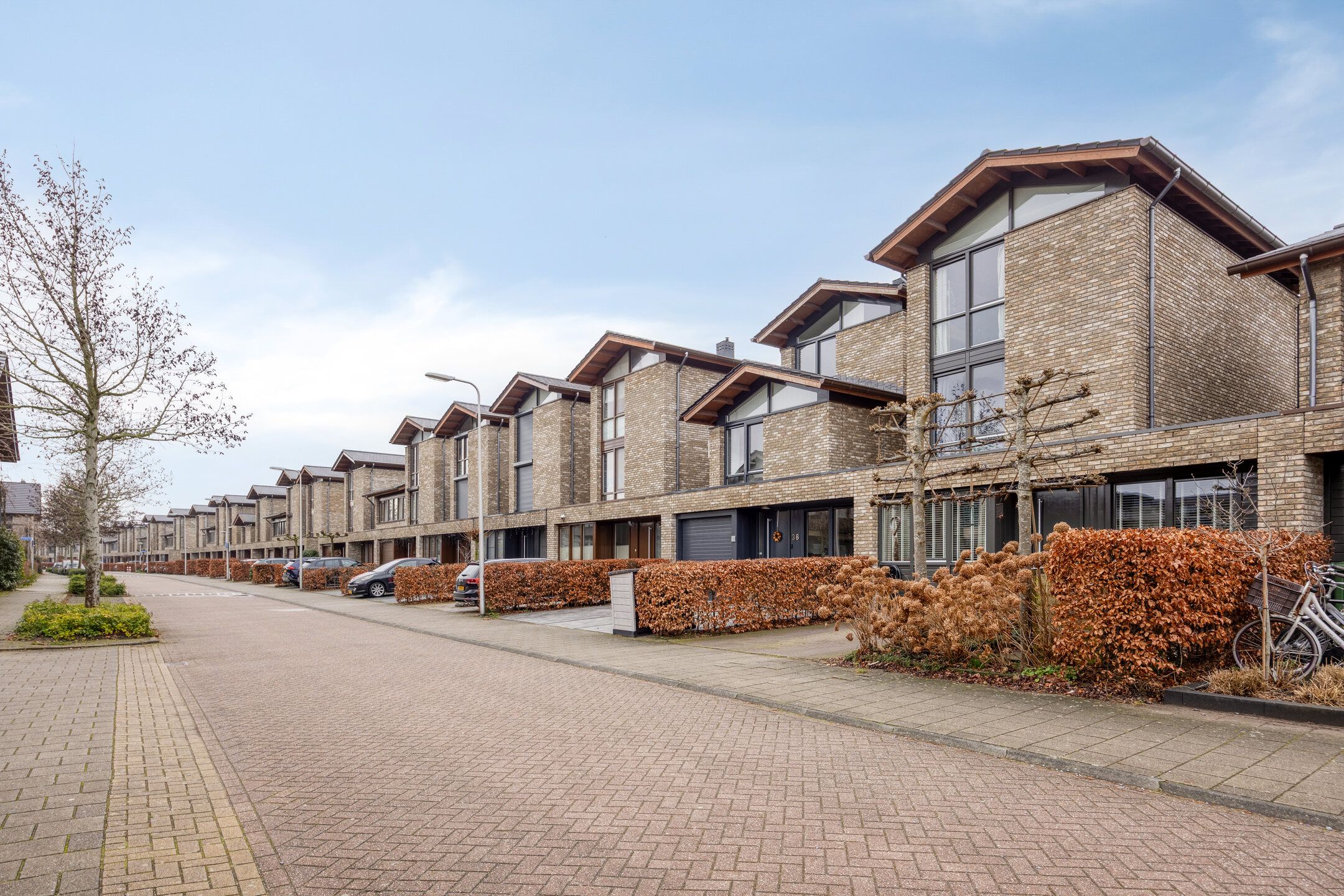 Foto 51 van Krabbescheer 34