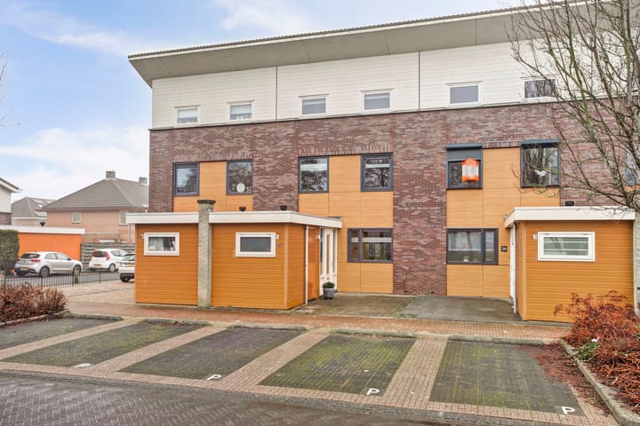 Oester 40 main image