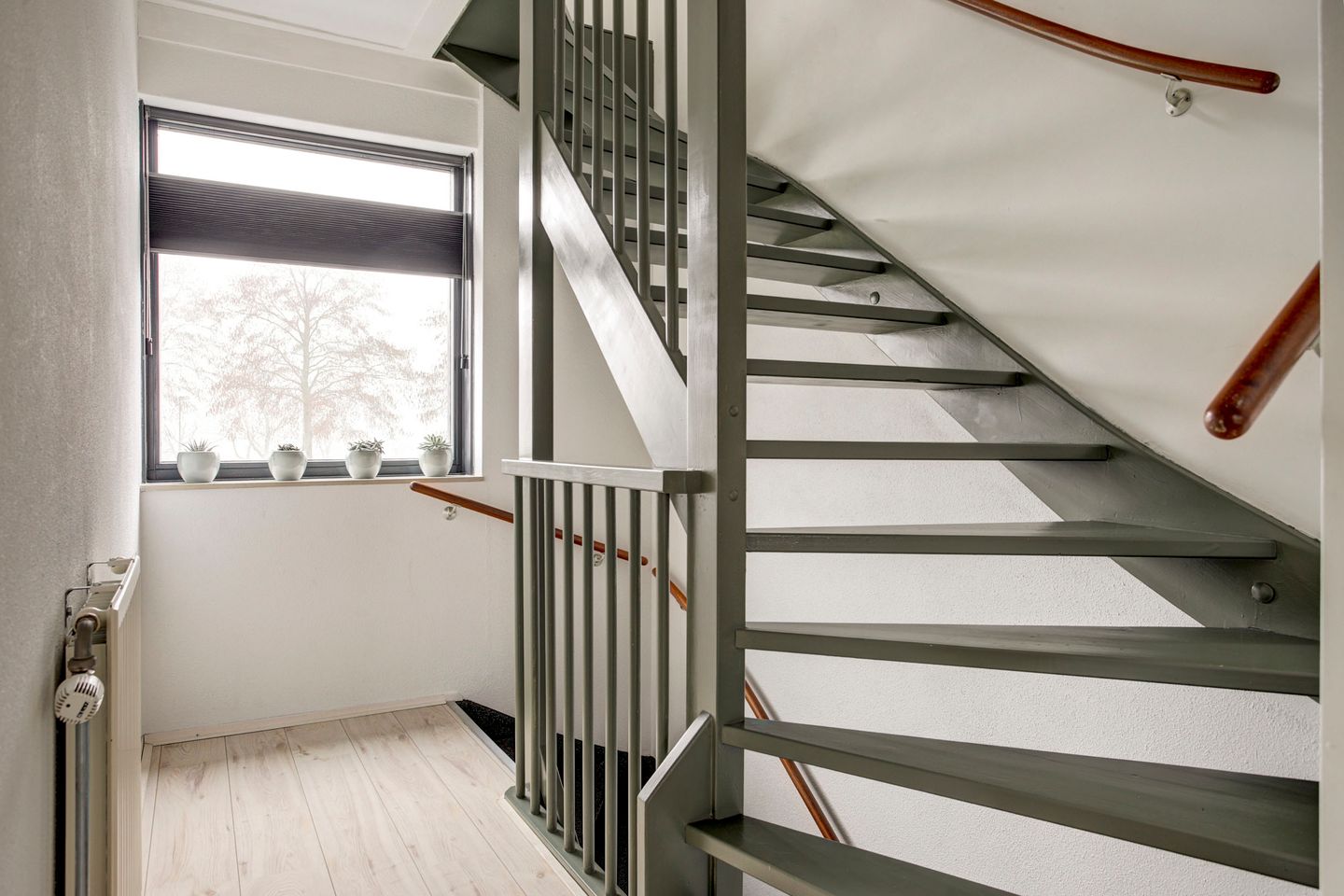 Foto 14 van Oester 40