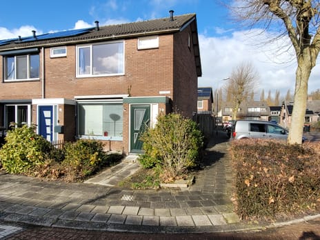 undefined main image