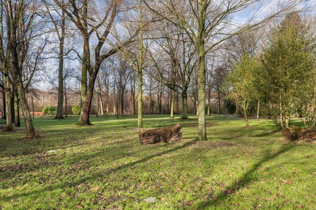 Foto 31 van Griegplein 163