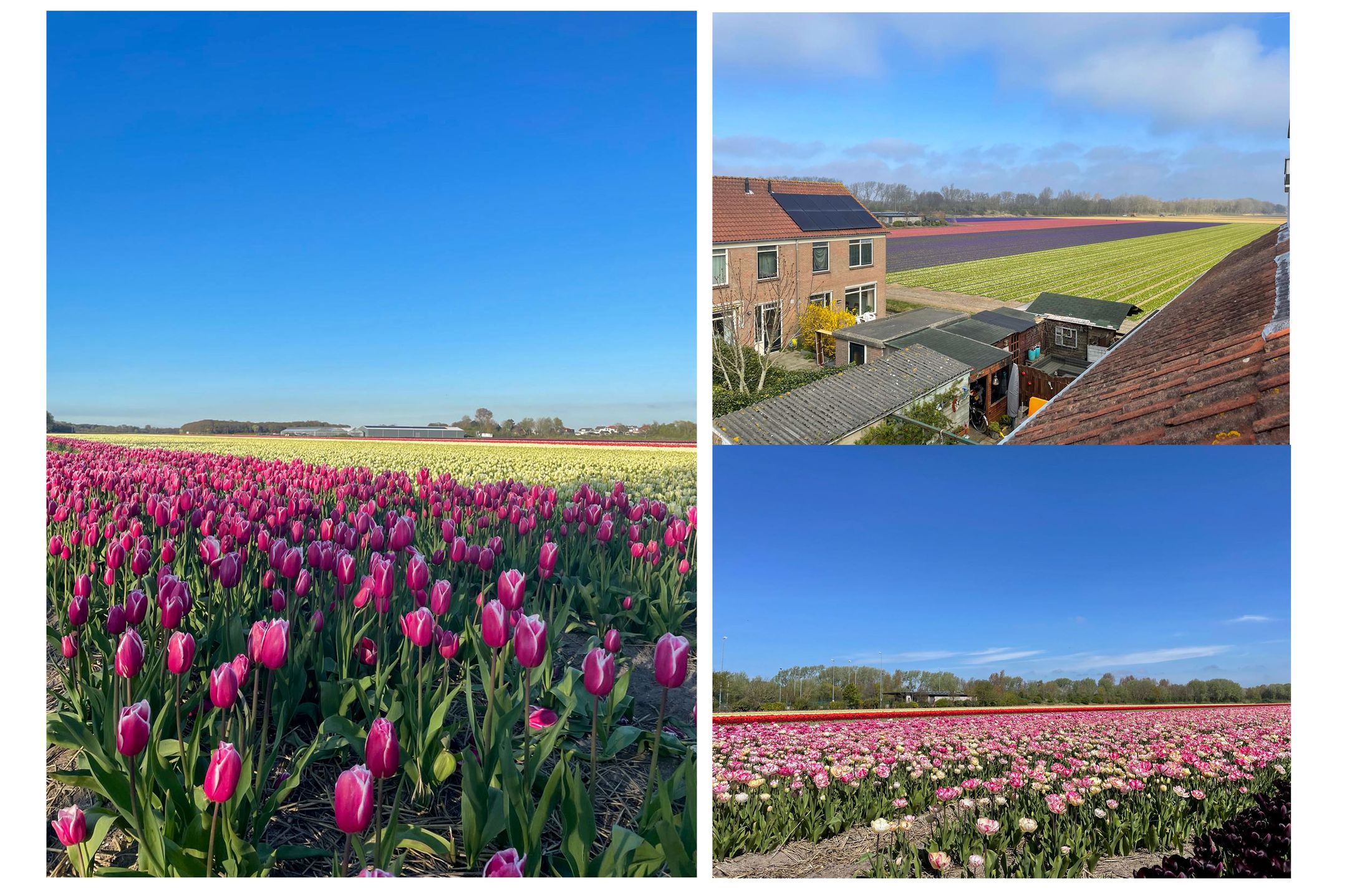 Foto 33 van Hoekgat 25