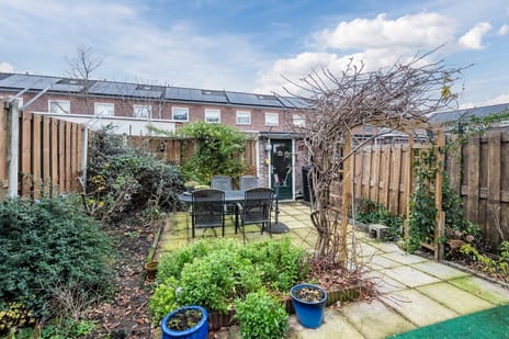 't Fruit 7 tertiary image