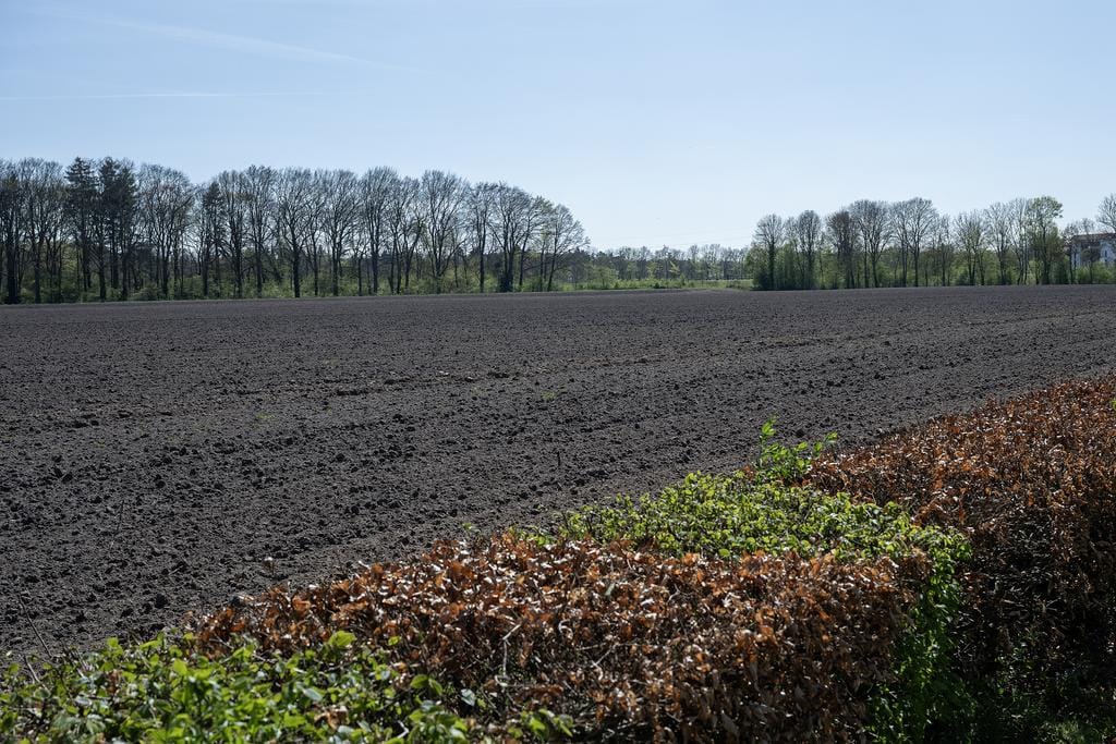 Foto 33 van Boedelhofweg 92