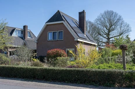 undefined main image