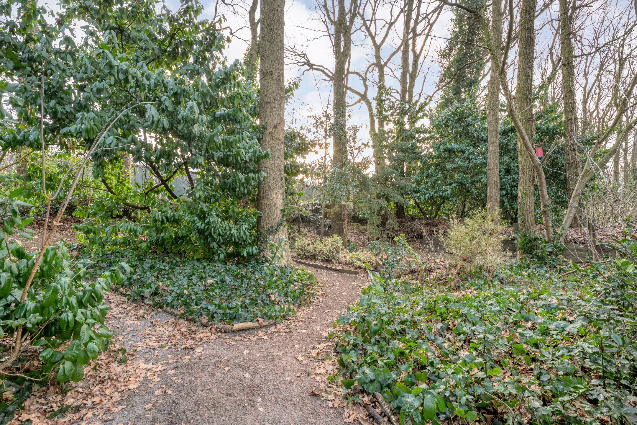 Foto 21 van Coevorderweg 27-098