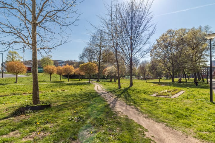 Photo 21 of Hogevecht 75