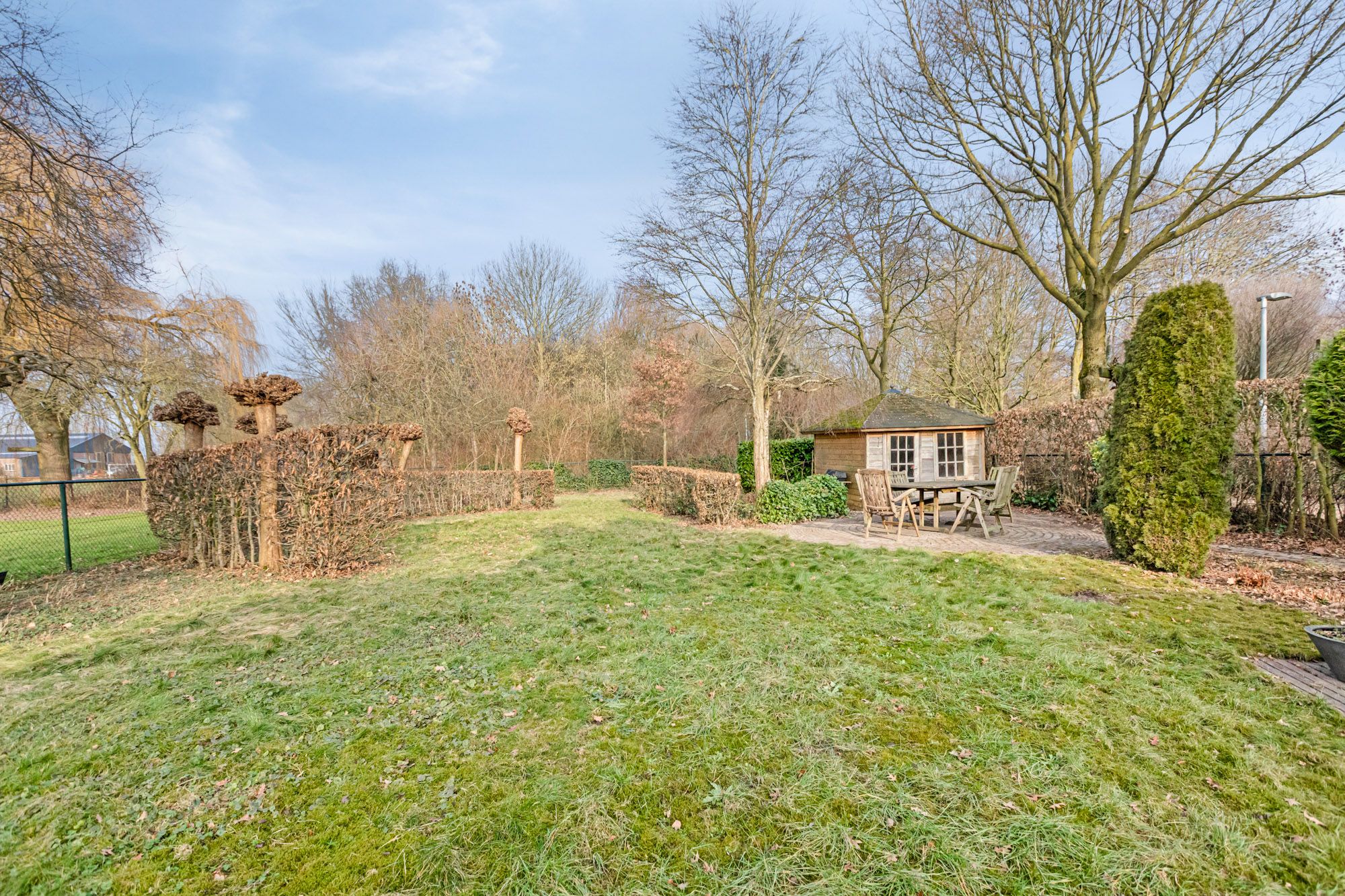 Photo 42 of Roodwilligen 137