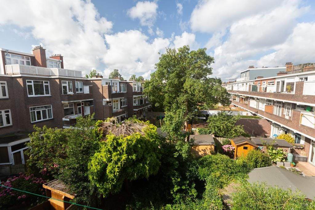 Foto 26 van Abrikozenstraat 138