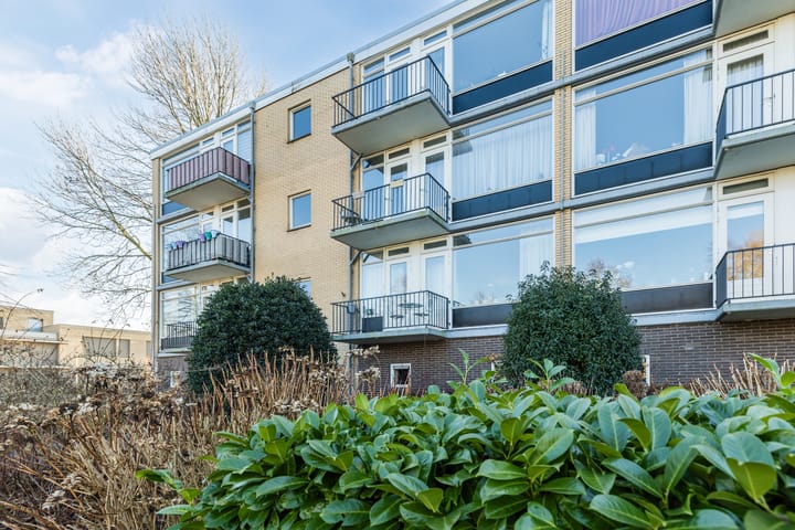 Photo 5 of Dronensingel 119