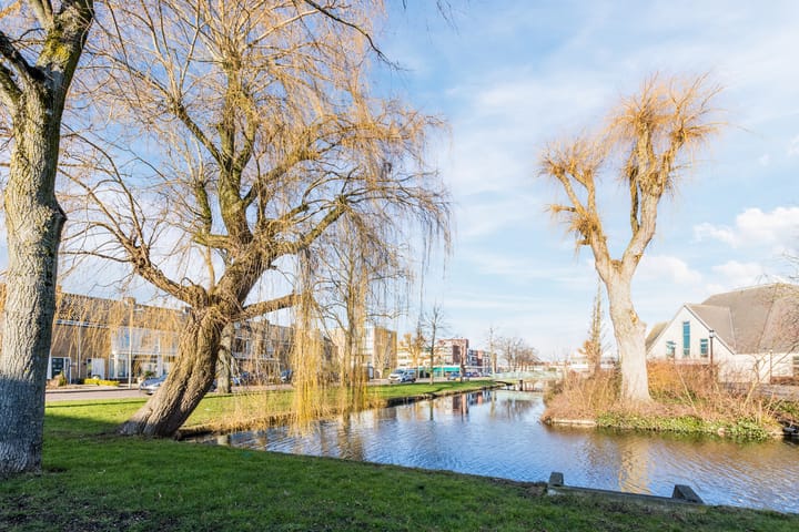 Photo 38 of Dronensingel 119