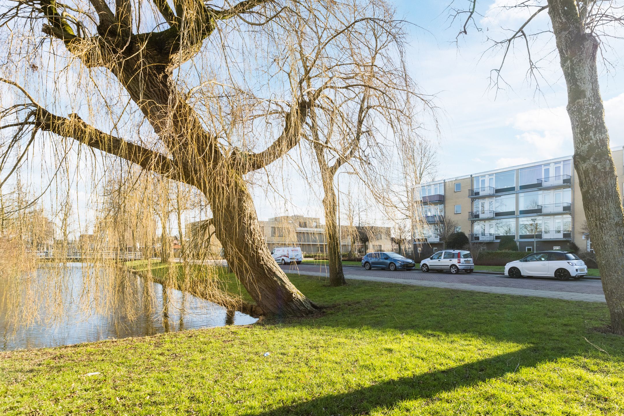 Photo 39 of Dronensingel 119