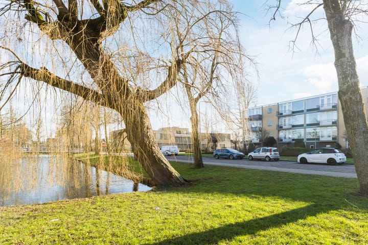 Photo 39 of Dronensingel 119