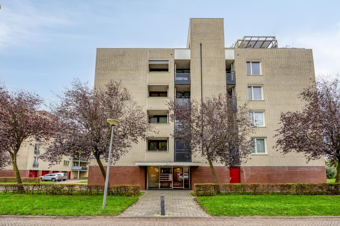 Photo 7 of Schout van Raesfeltstraat 101