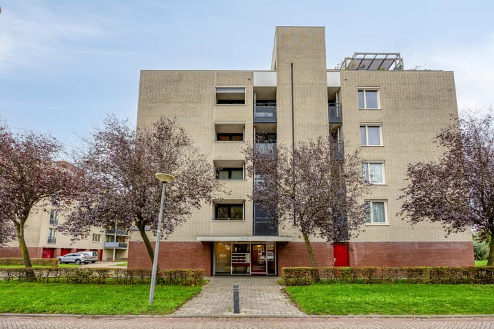 Foto 7 van Schout van Raesfeltstraat 101