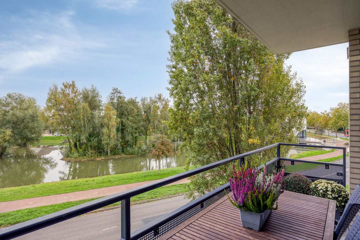 Photo 20 of Schout van Raesfeltstraat 101