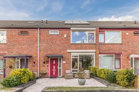 Galjoenstraat thumbnail