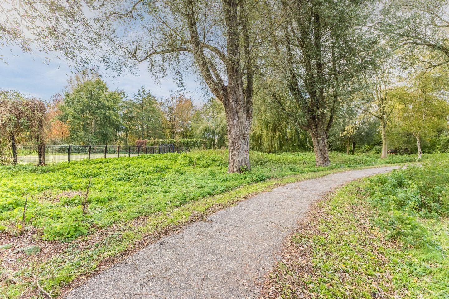 Foto 50 van Galjoenstraat 46