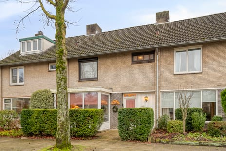 Gemberstraat thumbnail