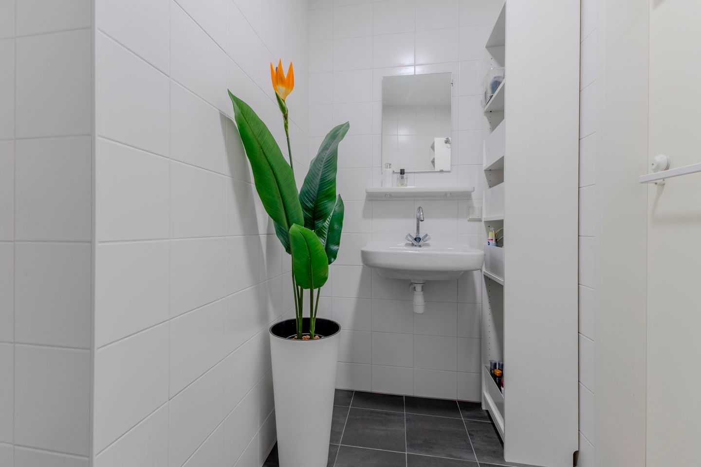 Photo 19 of Van Aostastraat 19