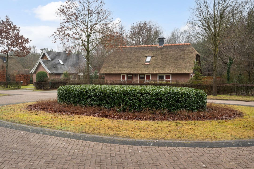 Photo 41 of Koele 16