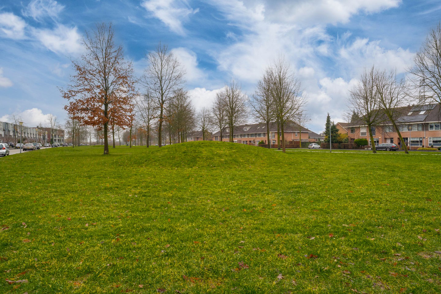 Photo 64 of de Lingert 6025