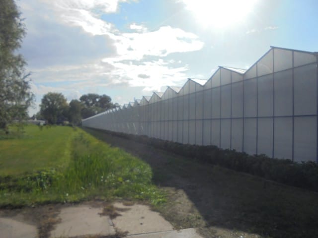 Bekijk foto 4 van Wendelnesseweg-West 45-a