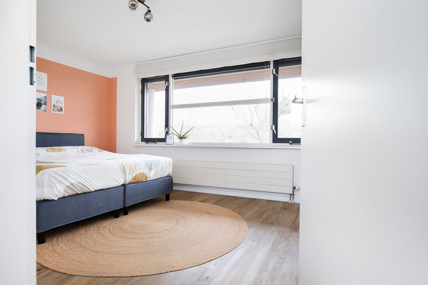 Foto 5 van Zomerpark 50