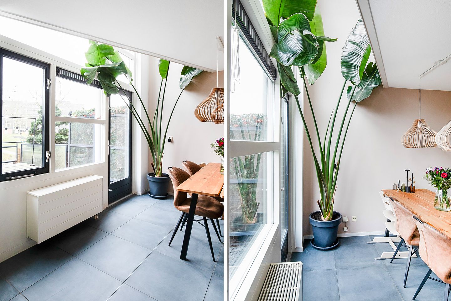 Foto 14 van Zomerpark 50