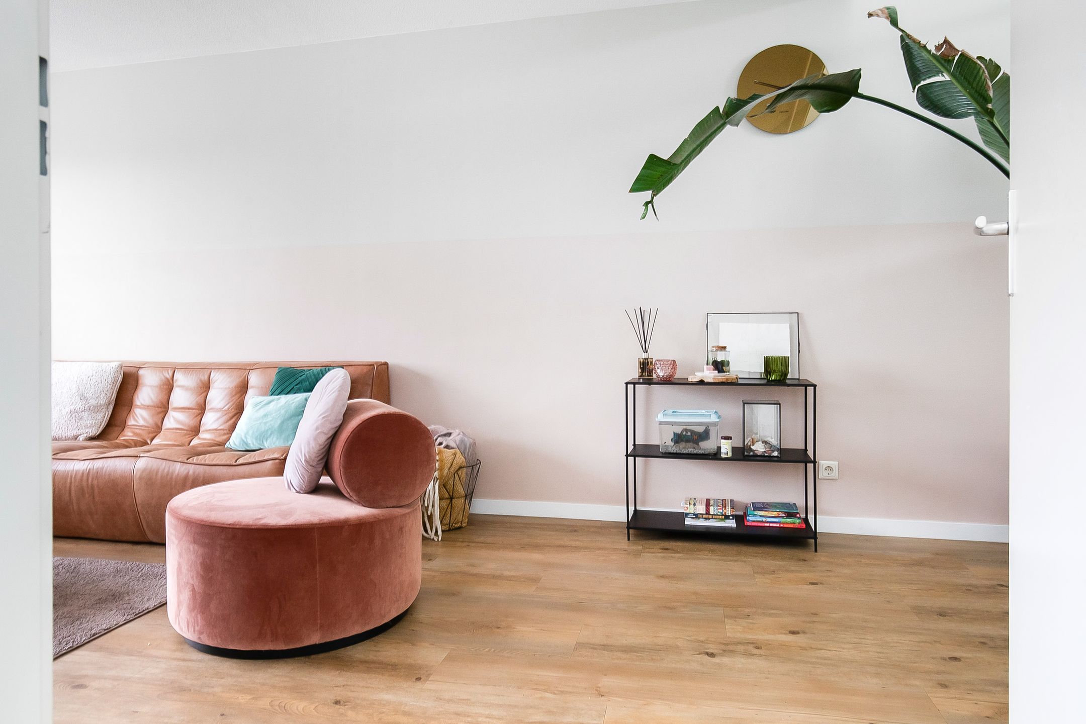 Foto 18 van Zomerpark 50